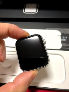 r02.12.02⑧apple