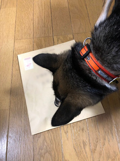 r04.4.22②花