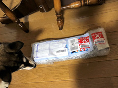 r04.6.15①油圧計