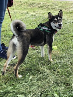 r04.5.29④花ちゃんとドライブ