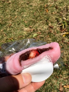 r03.10.9③鞍掛山登山