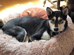 r05.6.20⑥プチツー