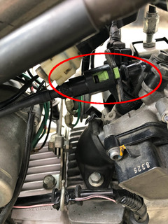 r04.10.31⑦カブ太