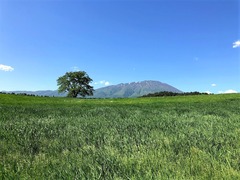 r01.5.30④小岩井