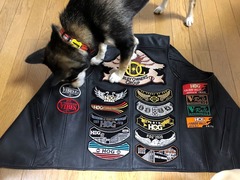 r04.6.22⑧ワッペン