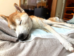 r03.6.27①日曜日