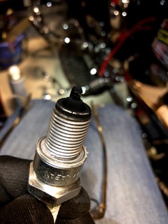 h30.5.23②真っ黒02