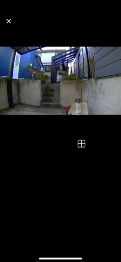 r04.10.31⑩カブ太