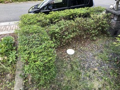 r04.6.13⑥バリカン