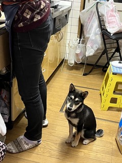 r04.3.9③花