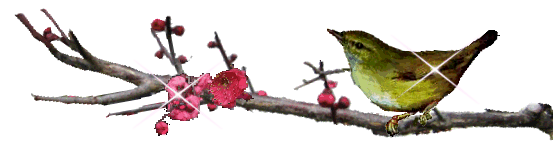 山茶花にメジロ 珍国際の隠れ家 山茶花にメジロ 珍国際の隠れ家