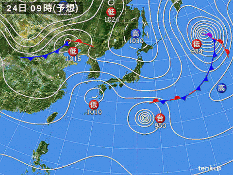 なんじゃこりゃ 珍国際の隠れ家 なんじゃこりゃ 珍国際の隠れ家