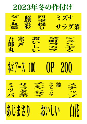 2023年冬の作付け図