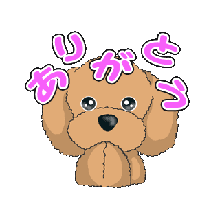 なんじゃこりゃ 珍国際の隠れ家 なんじゃこりゃ 珍国際の隠れ家