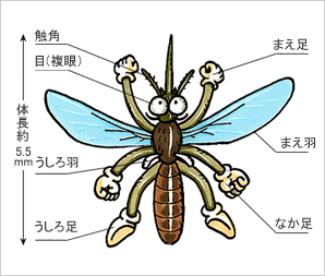 なんじゃこりゃ 珍国際の隠れ家 なんじゃこりゃ 珍国際の隠れ家