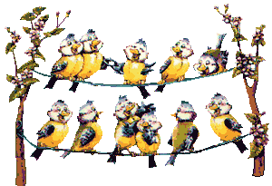 10年08月 珍国際の隠れ家