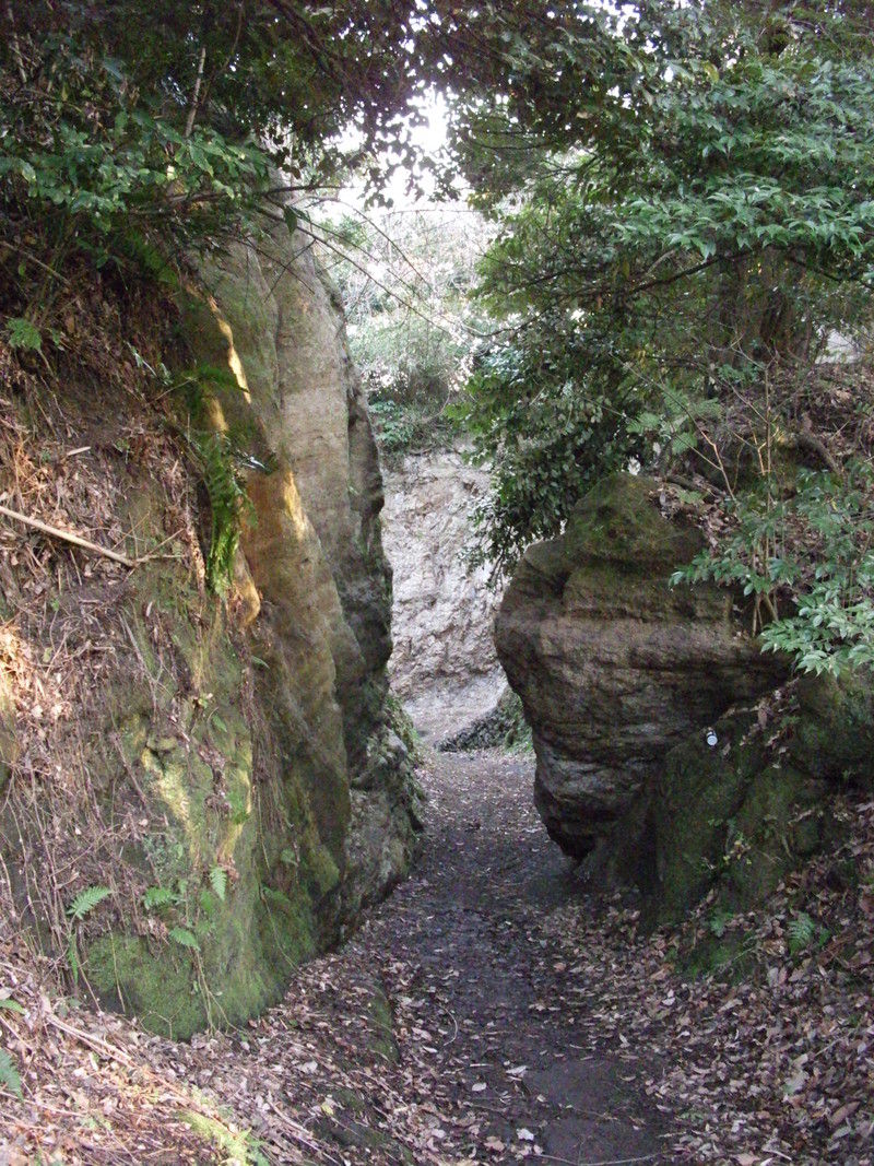 名越切通しを偶然みつける 逗子 いのっちぶろぐ