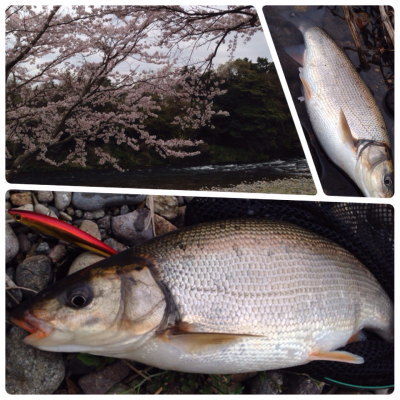 ugui0404