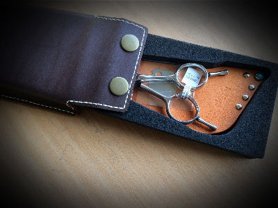 ORGCASE401