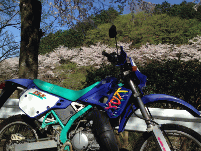 0405bike3