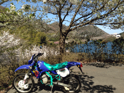 0405bike2