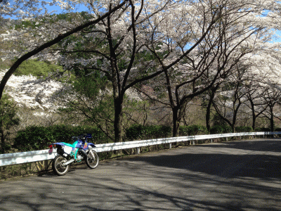 0405bike1