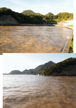 taifu18
