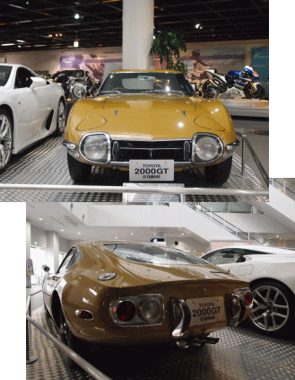 1004gt
