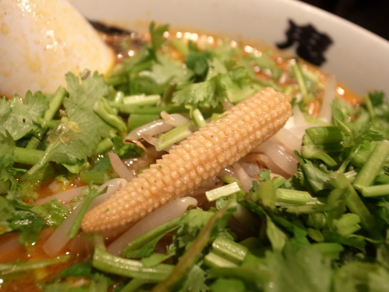 カラシビ味噌らー麺 鬼金棒 神田 カラシビ味噌らー麺 パクチー 楽しく飲んで食べましょう タマニハシリマショウ カラシビ味噌らー麺 鬼金棒 神田 カラシビ味噌らー麺 パクチー 楽しく飲んで食べましょう タマニハシリマショウ