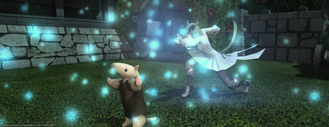 ffxiv_20211102_080211_737