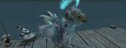 ffxiv_20211231_104035_497