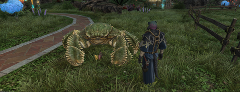 ffxiv_20260909_003422_911