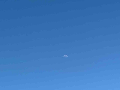 IMG_1325