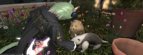 ffxiv_20211204_223925_139