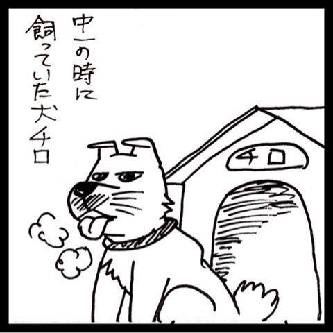 photo:01