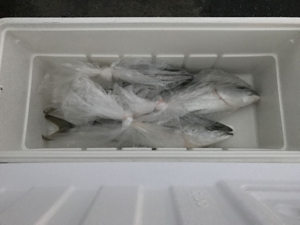 いろんな意味で いっぱいいっぱい 趣味 釣り Livedoor Blog ブログ