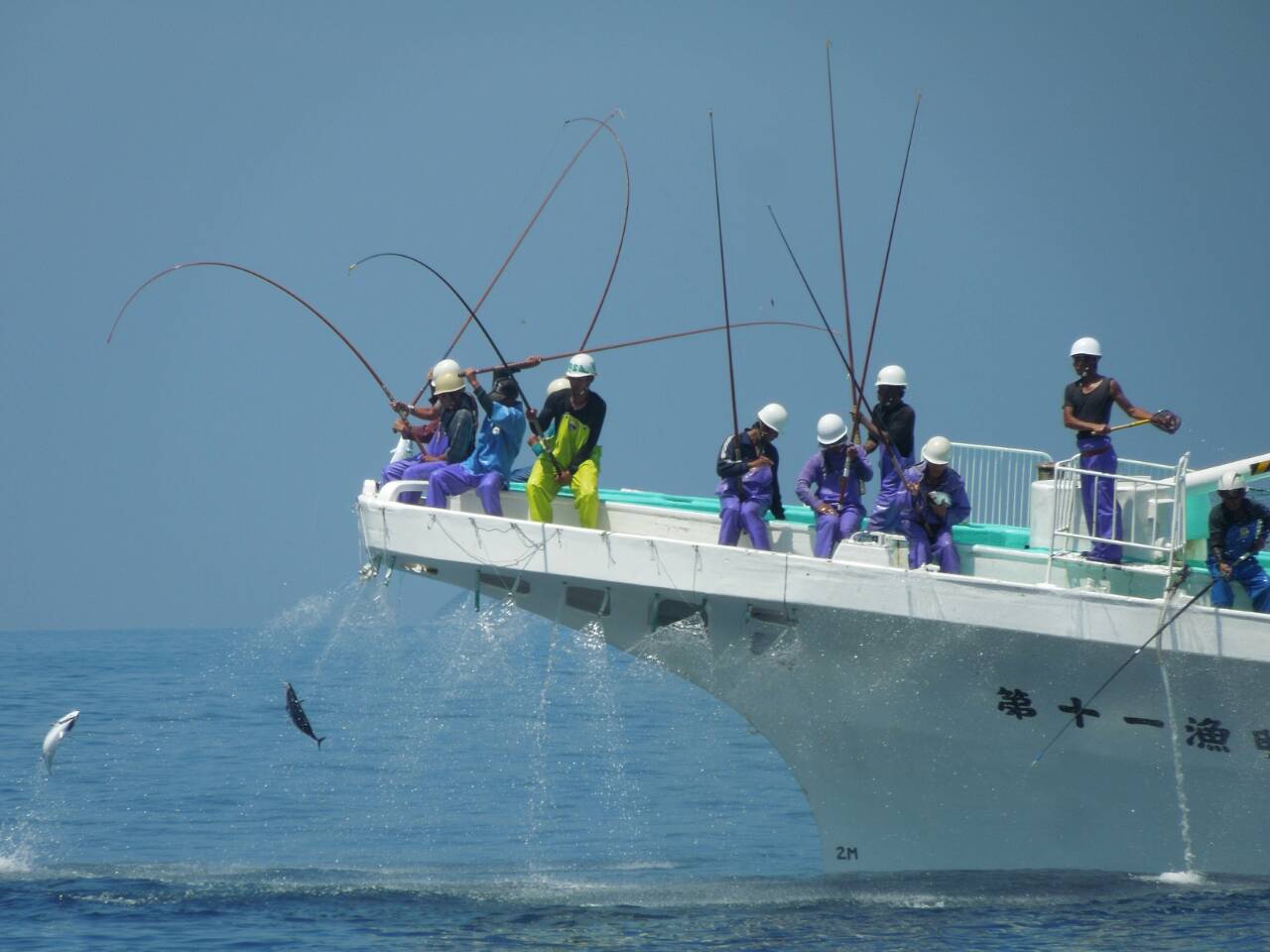 13年 第16回 オフショア釣行 カツオ一本釣り漁師と対決編 いろんな意味で いっぱいいっぱい 13年 第16回 オフショア釣行 カツオ一本釣り漁師と対決編 いろんな意味で いっぱいいっぱい