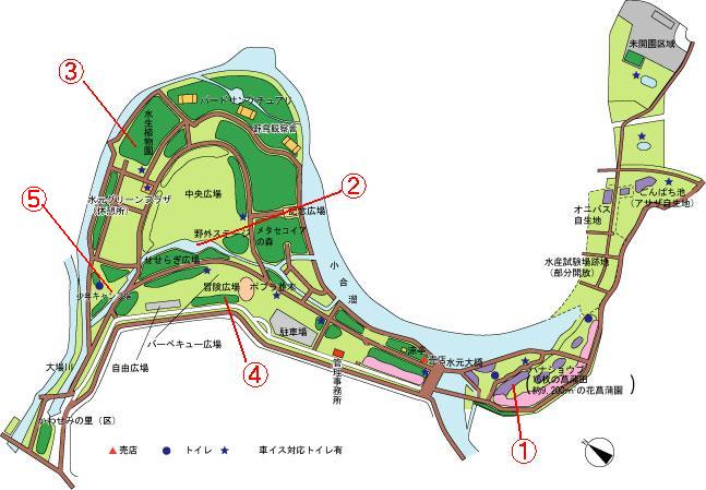 三郷市高州近辺で遊ぶには その２ 三郷市周辺ガイド