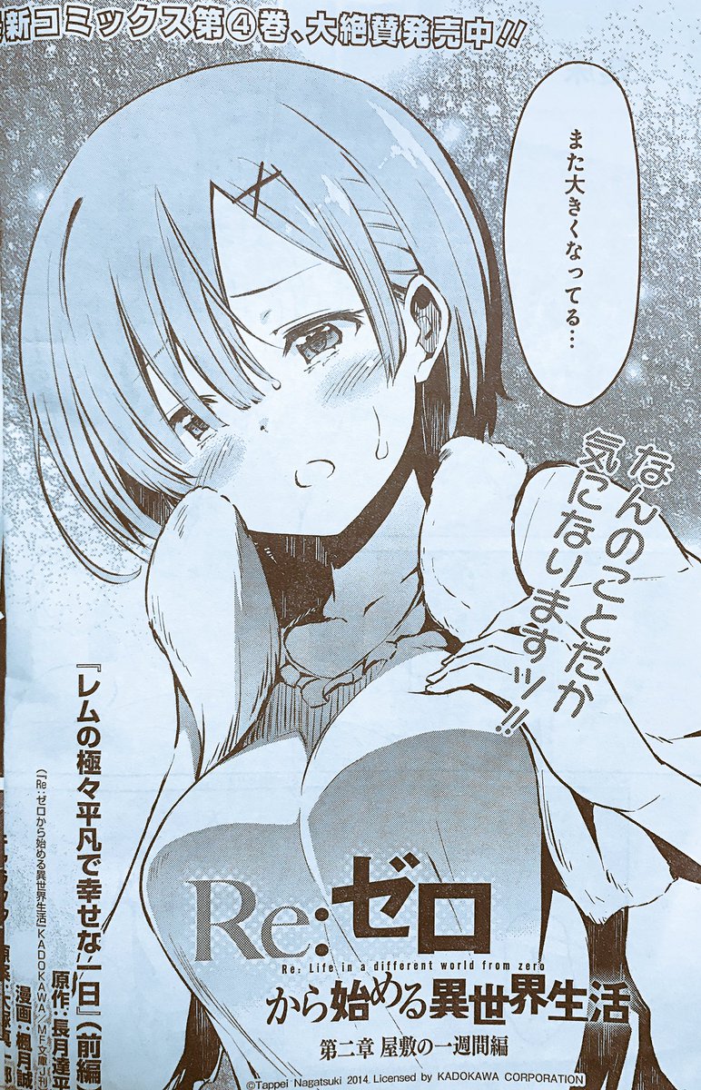 リゼロ レムりんが かわいくてかわいくてかわいくて 悪行も許せる件 二次元三次元 リゼロ レムりんが かわいくてかわいくてかわいくて 悪行も許せる件 二次元三次元
