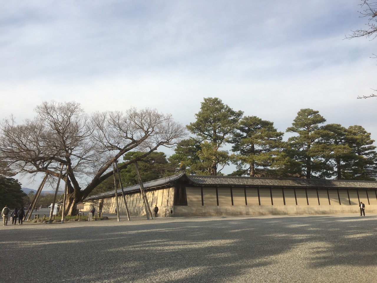 京都御所で車中泊 とっちゃんnature 京都御所で車中泊 とっちゃんnature