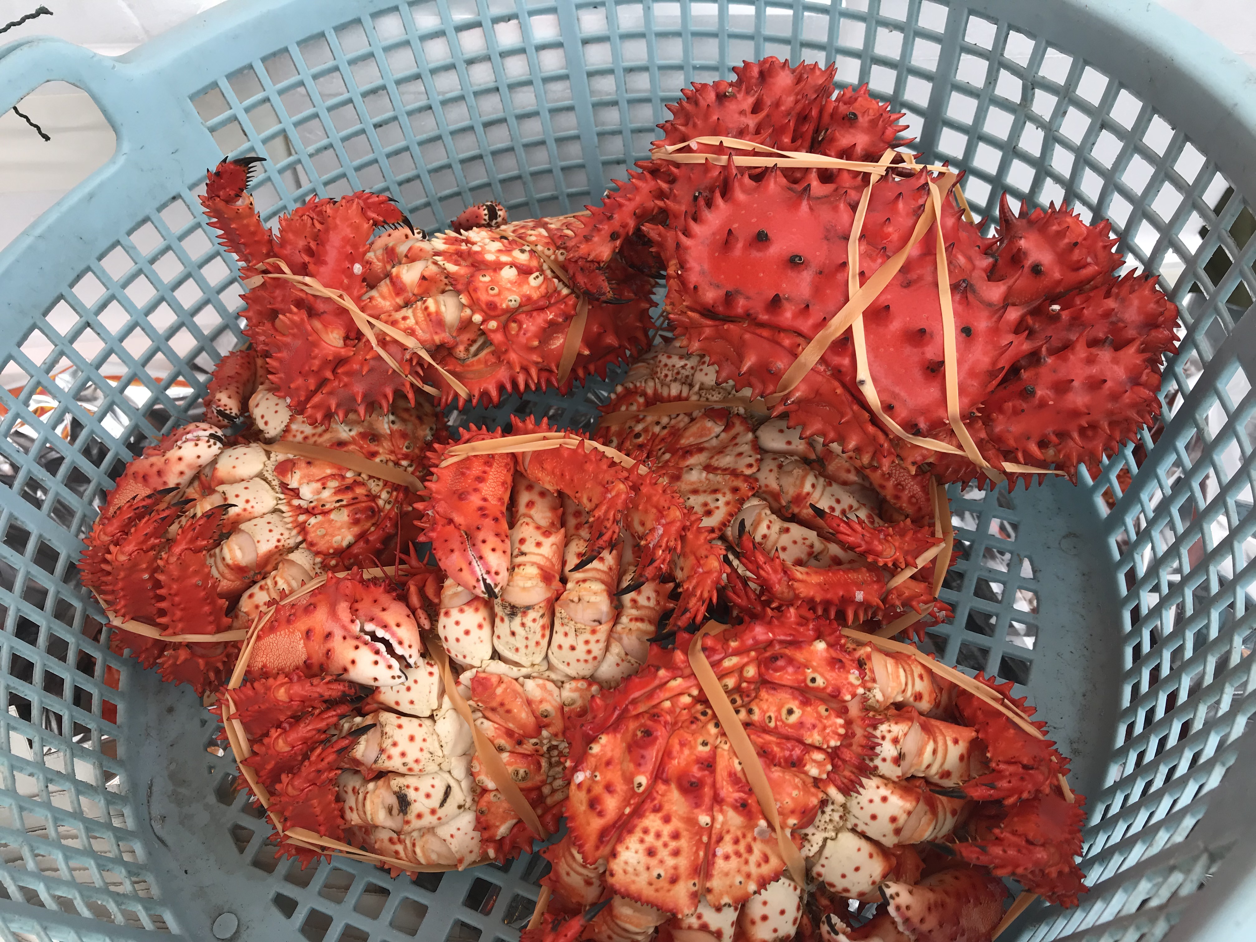 R10rsで行く北海道19夏 その4 つづいていくのかな