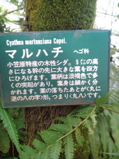 �ޥ�ϥ����إ���