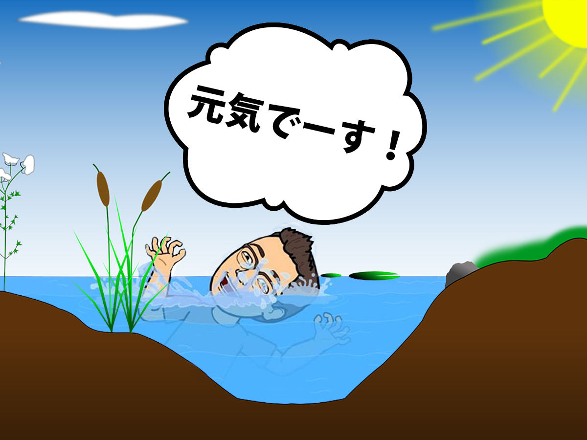 アニメ がっこうぐらし に出てきた屋上の ビオトープ ってなに Dj一戸建ブログ アニメ がっこうぐらし に出てきた屋上の ビオトープ ってなに Dj一戸建ブログ