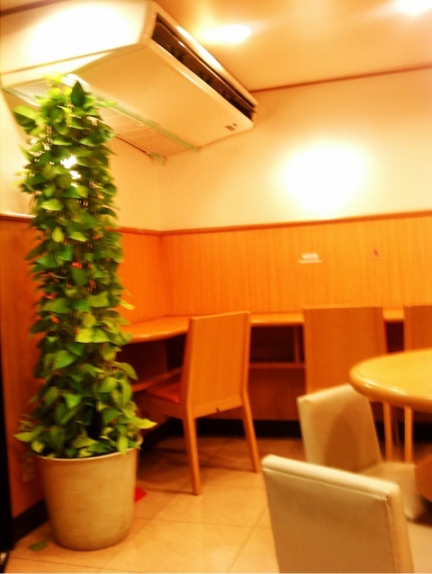 photo:02