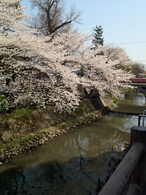 photo:09