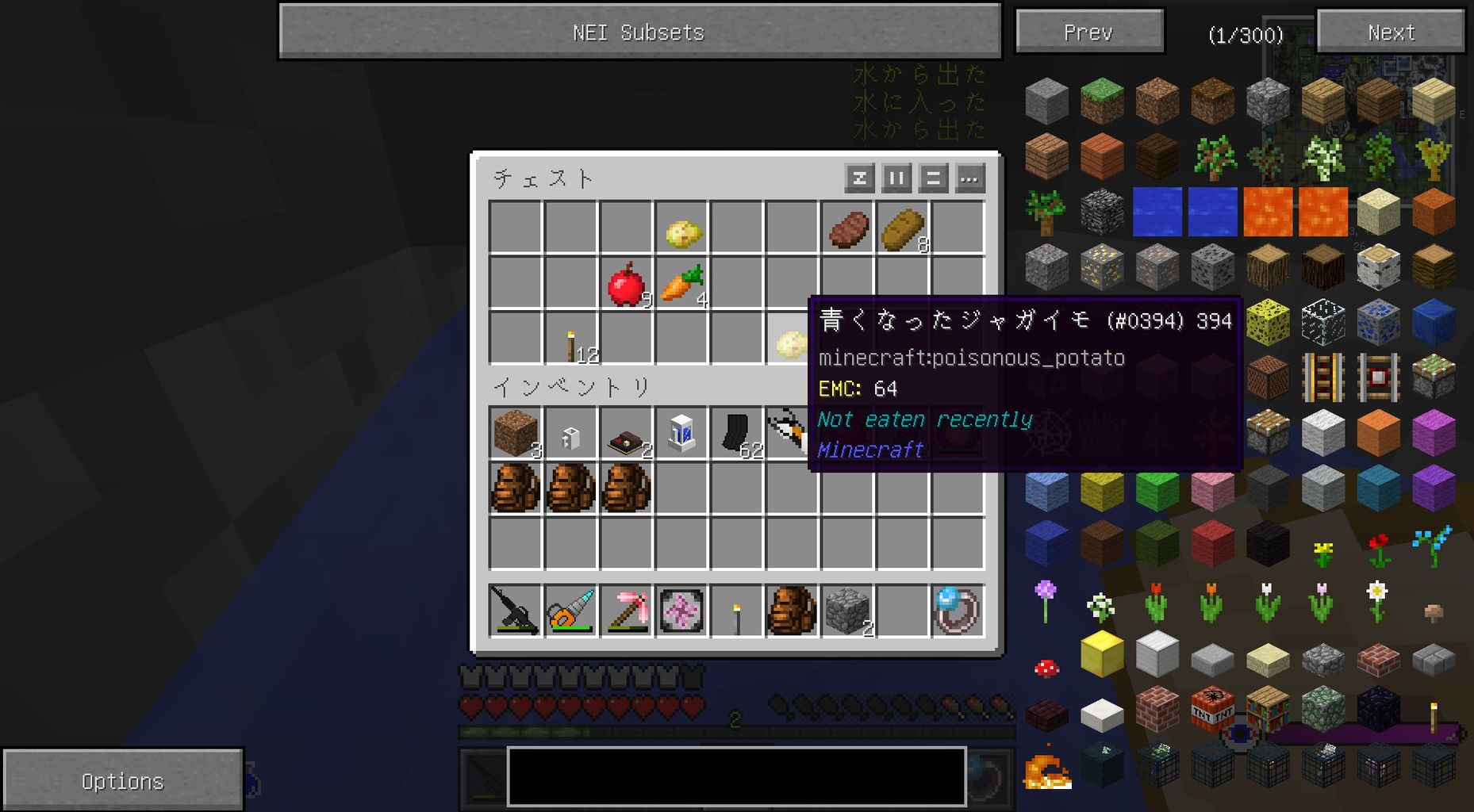 黄昏を制圧する Sora Sukeのminecraft