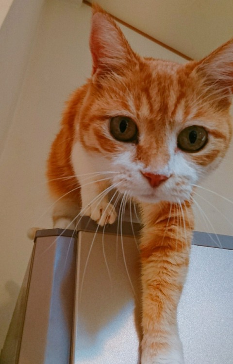 20-10-02-13-14-55-643_deco