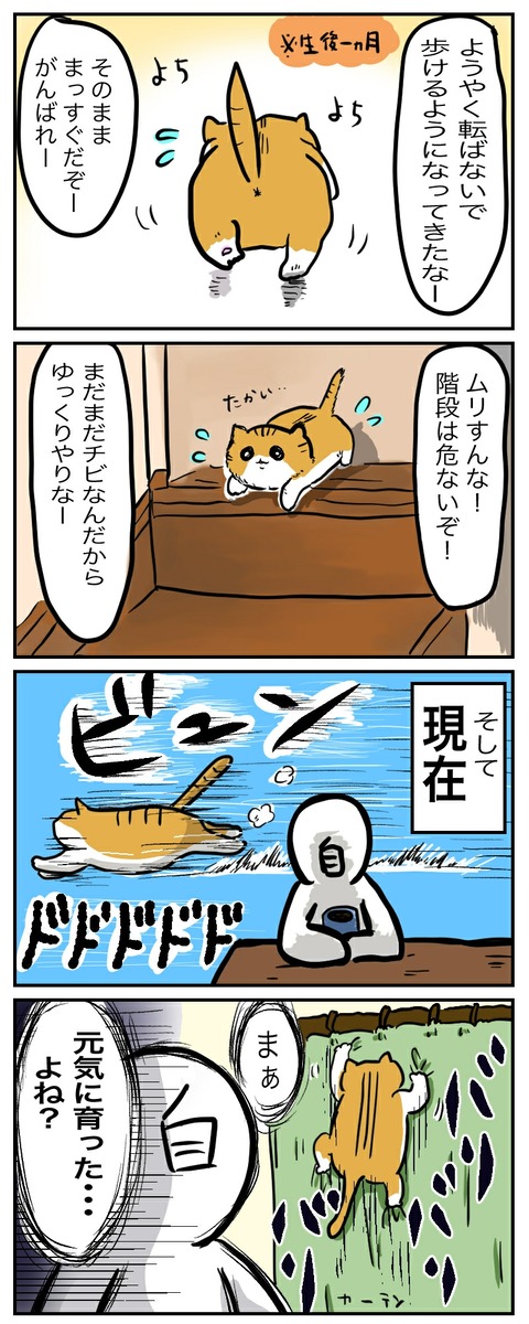 1591416143280_イラスト238