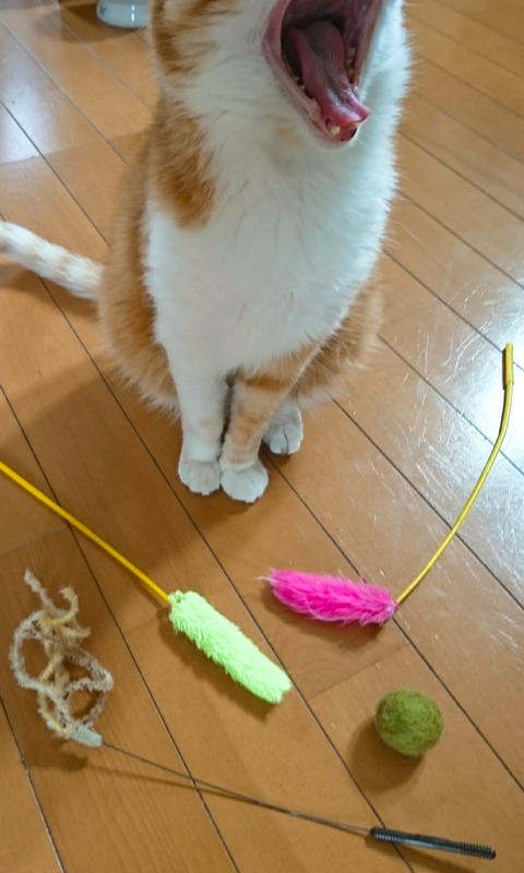 20-07-19-14-01-06-118_deco