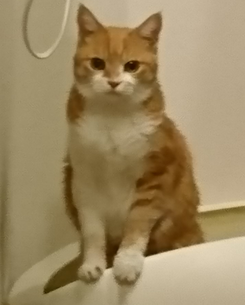 sketch-1600831624602